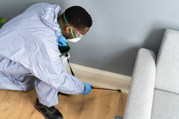 Reliable Colleyville, TX Pest Control Solutions